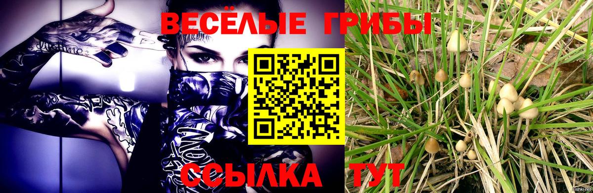 Галлюциногенные грибы MAGIC MUSHROOMS  Вход с VPN  Конаково 