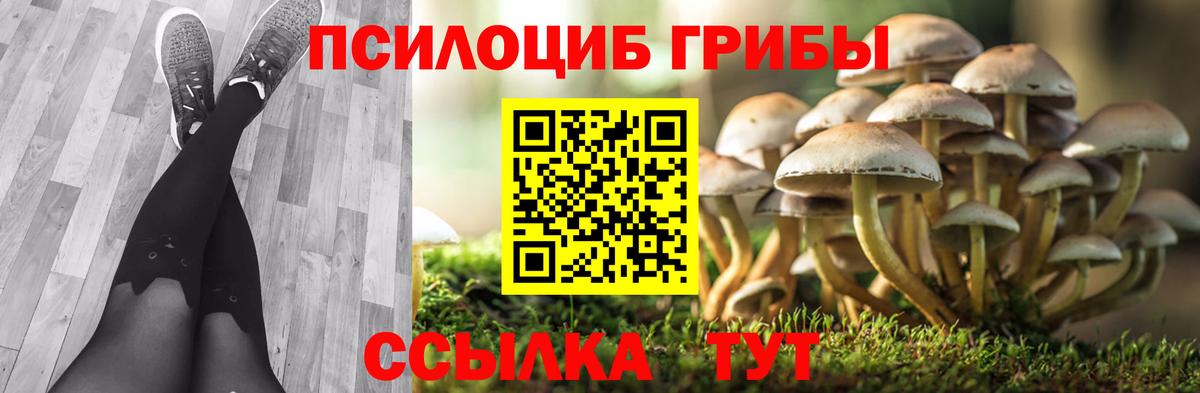 Псилоцибиновые грибы мухоморы Конаково